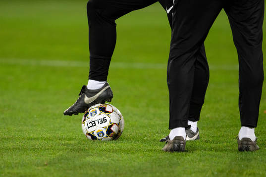 En fotboll