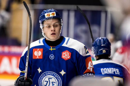 Leksands Wille Bärehag