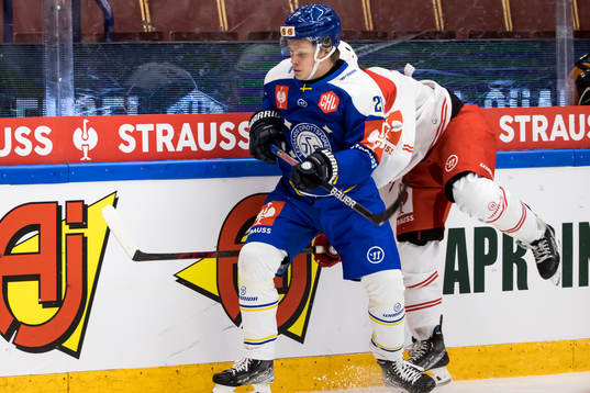 Leksands Wille Bärehag