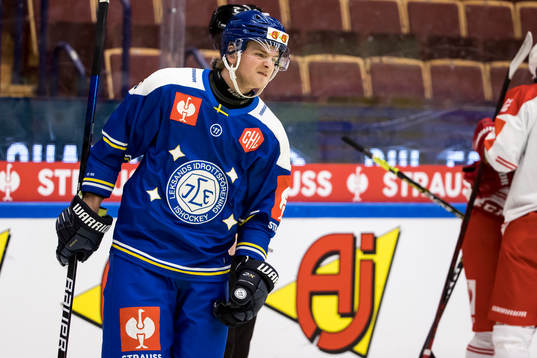 Leksands Wille Bärehag