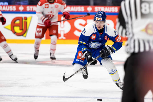 Leksands Erik Hedlund