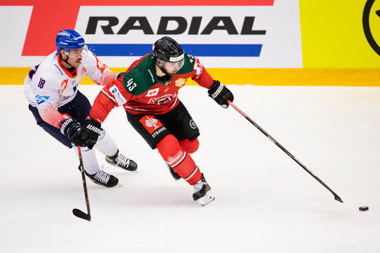 Luca Tosto of Adler Mannheim and Michael Spacek of Frölunda