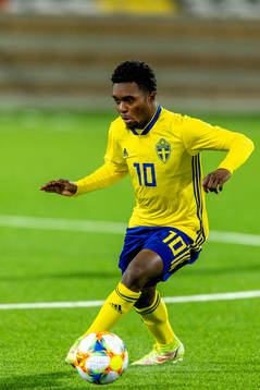 Sveriges Jardell Kanga