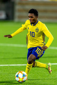 Sveriges Jardell Kanga