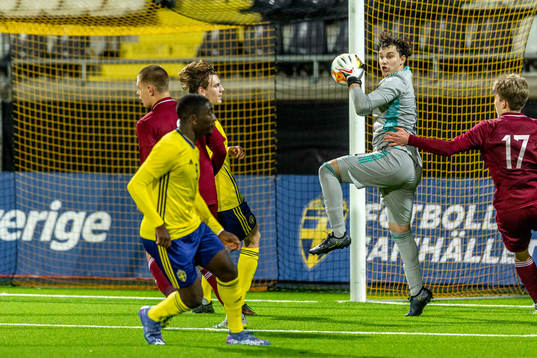 Sveriges målvakt Bishesari Elis