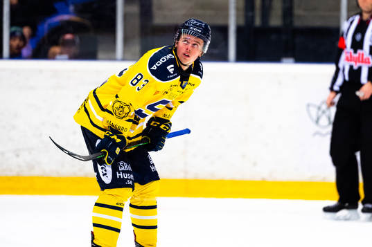Södertäljes Ludvig Jansson deppar