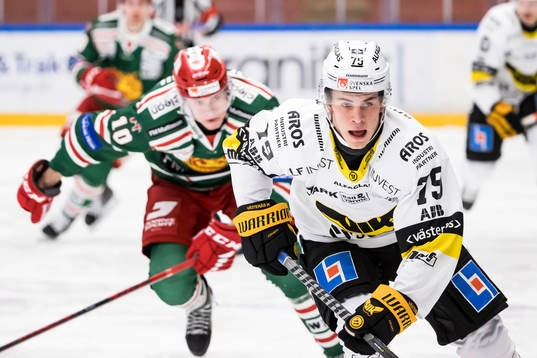Västerås Gabriel Kangas
