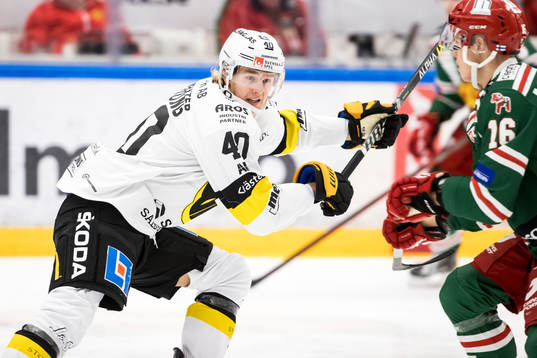 Västerås Isak Skedung