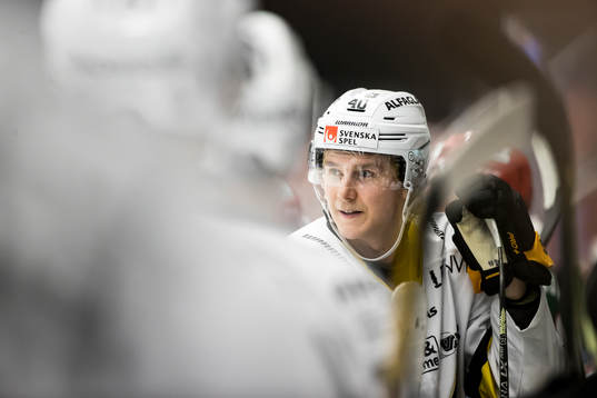 Västerås Isak Skedung