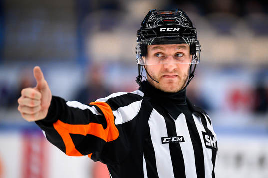 Domare Daniel Eriksson