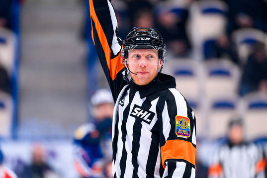 Domare Mikael Holm
