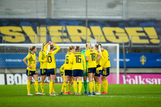 Players of Sweden gathered