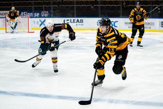 Skellefteås Stefan Loibl
