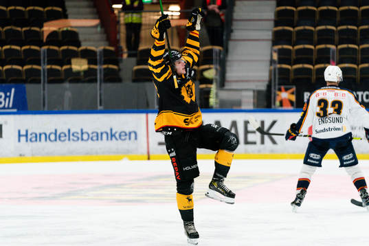 Bläddra bland fler bilder av Ishockey, SHL, Skellefteå - Djurgården