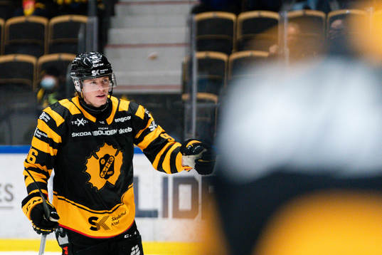 Skellefteås Rickard Hugg jublar