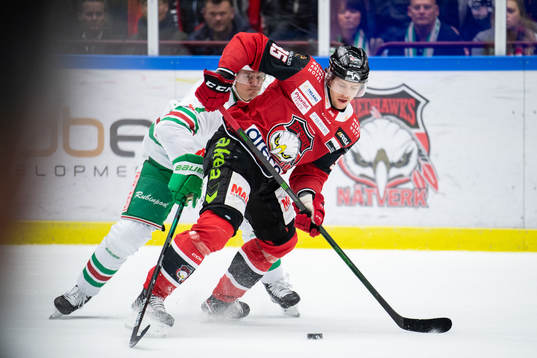 Malmö Redhawks Carl Persson och Rögles Erlend Lesund
