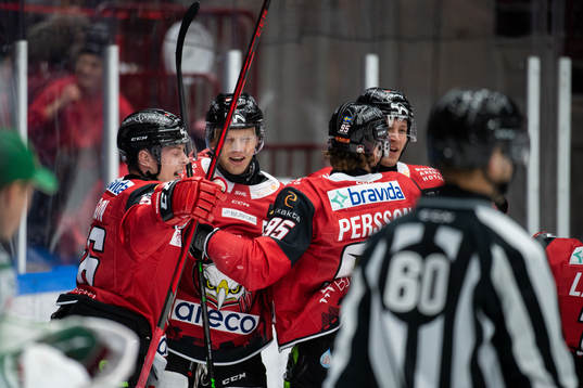 Malmö Redhawks spelare jublar