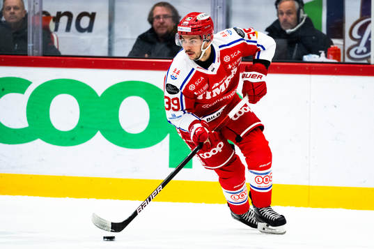 Timrås Ty Rattie