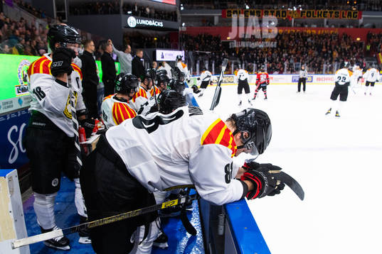 Brynäs Dmytro Timashov deppar