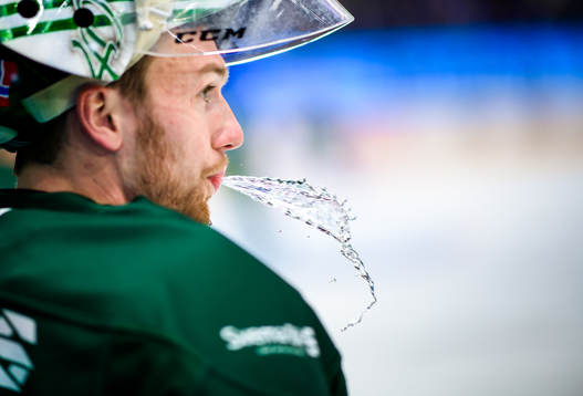 Färjestads målvakt Henrik Haukeland