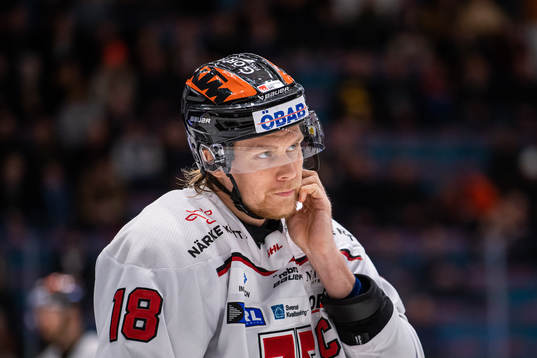 Örebros Rodrigo Abols