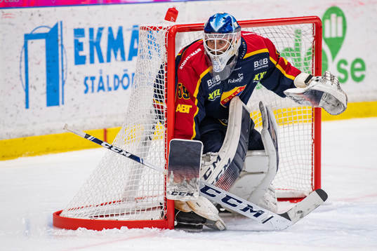 Djurgårdens målvakt Mantas Armalis