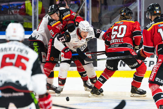 Luleås Carl Mattsson och Malmö Redhawks Kalle Östman