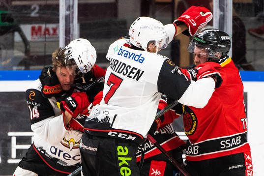Malmö Redhawks Carl-Johan Lerby, Luleås Brendan