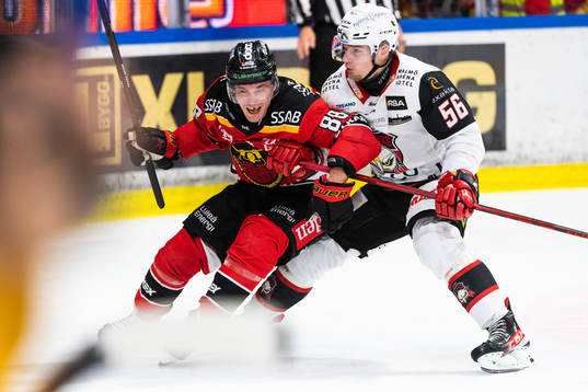 Luleås Joonas Rask och Malmö Redhawks Anton Olsson