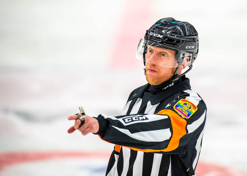 Domare Mikael Holm