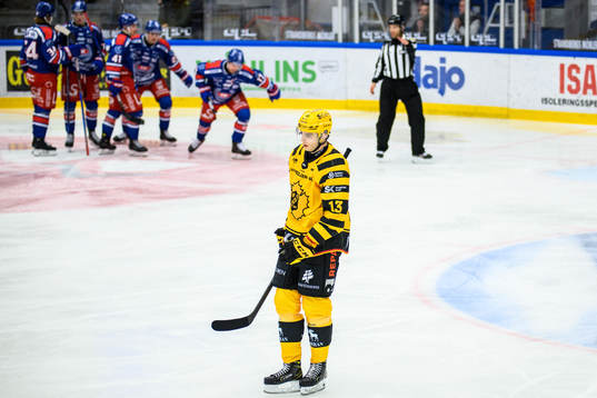 Skellefteås Stefan Loibl deppar