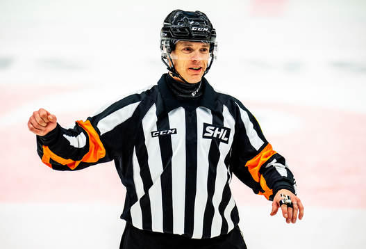 Domare Mikael Andersson