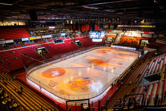 Monitor ERP Arena