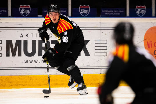 Brynäs Dmytro Timashov