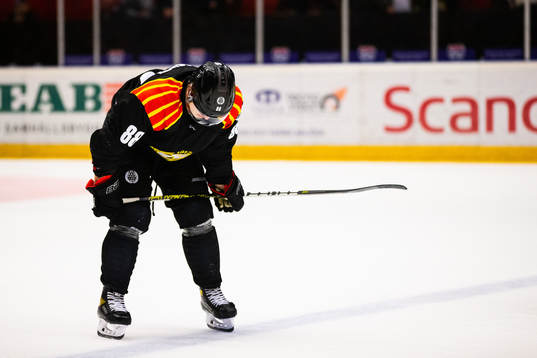 Brynäs Dmytro Timashov deppar
