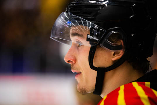 Brynäs Dmytro Timashov