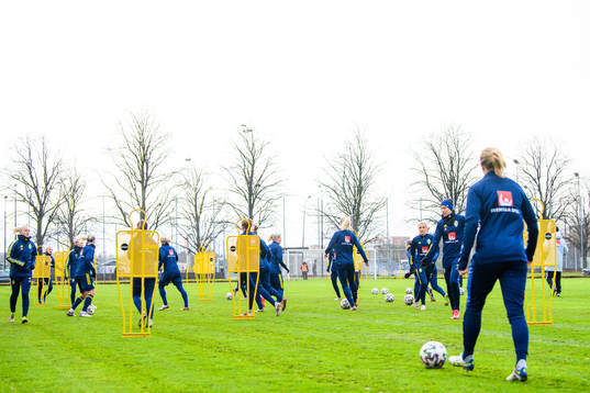 Gerneral view of the Swedish women's national football team