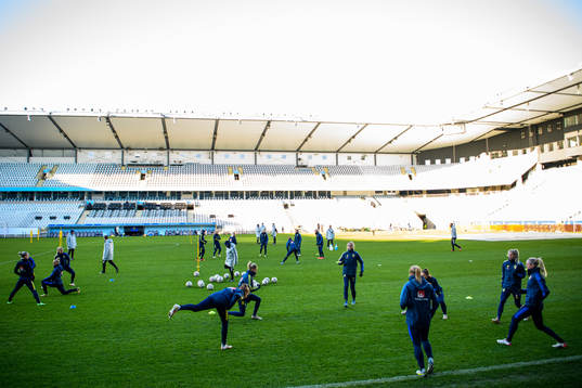 General view of the Swedish women's national football team
