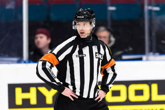 Domare Mikael Andersson