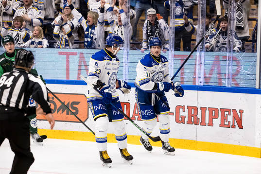Leksands Mikael Ruohomaa och Leksands Martin Karlsson