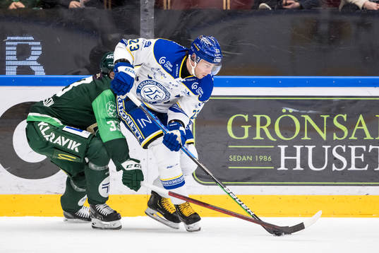 Leksands Mikael Ruohomaa