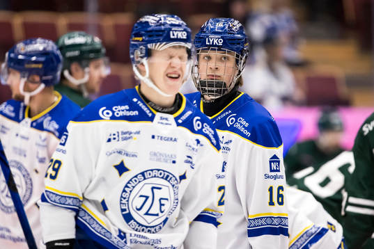 Leksands Lucas Lagerberg