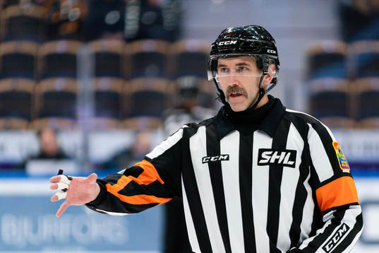 Domare Linus Öhlund
