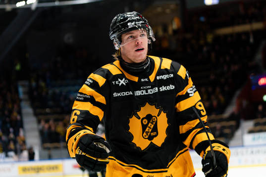 Skellefteås Rickard Hugg jublar