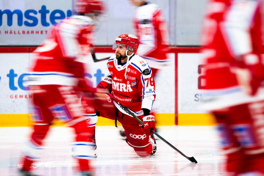 Timrås Robin Hanzl
