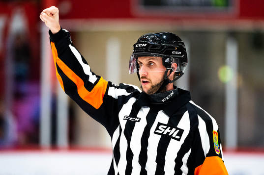 Domare Mikael Sjöqvist