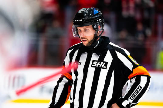 Domare Mikael Sjöqvist