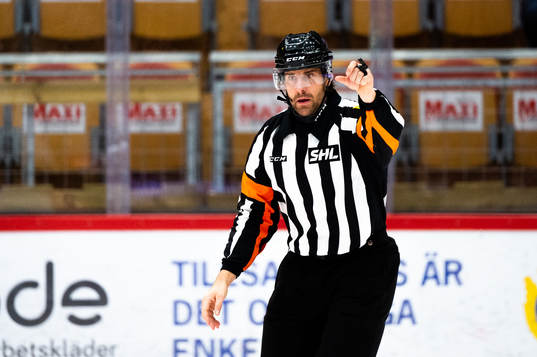 Domare Mikael Sjöqvist