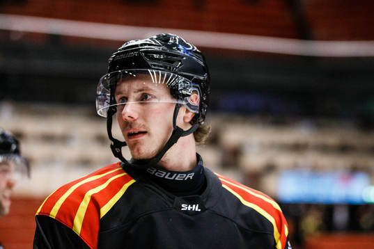 Brynäs Nick Olesen