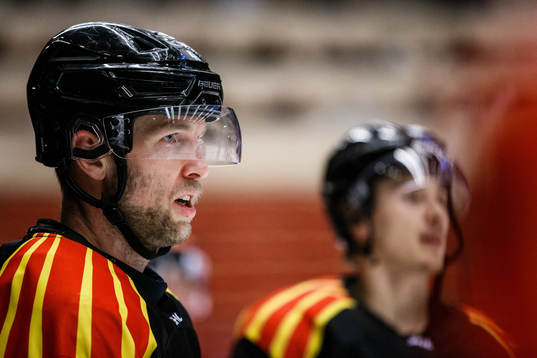 Brynäs Greg Scott